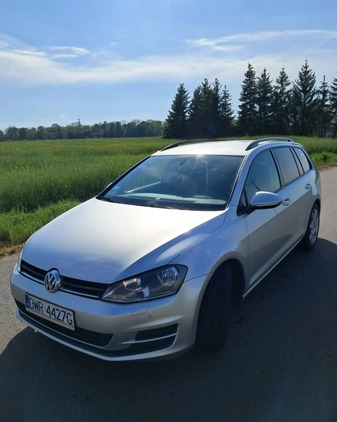 Volkswagen Golf cena 38000 przebieg: 177000, rok produkcji 2016 z Sulechów małe 277